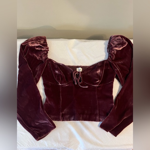 Wilfred Novella Velvet Blouse Size 4 “Truffle” - Picture 5 of 5